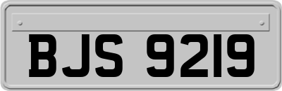 BJS9219