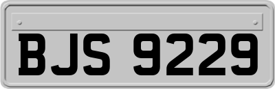 BJS9229