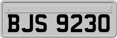 BJS9230