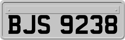 BJS9238