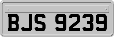 BJS9239