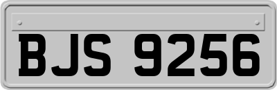 BJS9256