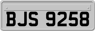BJS9258