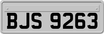 BJS9263