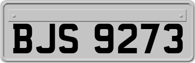 BJS9273
