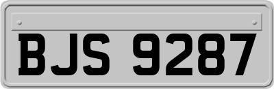 BJS9287