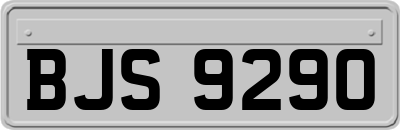 BJS9290