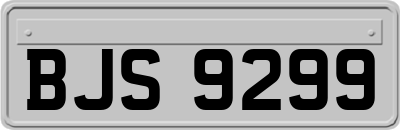 BJS9299