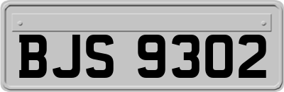 BJS9302