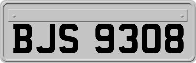 BJS9308