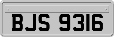 BJS9316