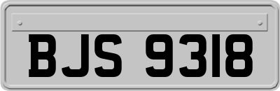 BJS9318
