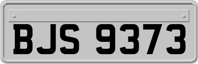 BJS9373