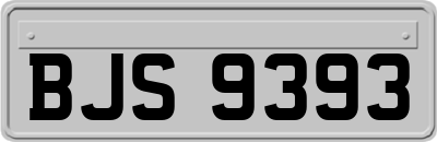 BJS9393