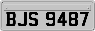 BJS9487