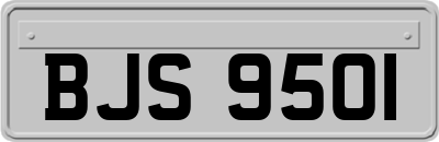 BJS9501