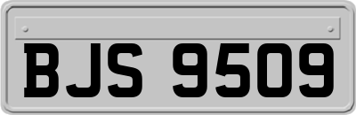 BJS9509