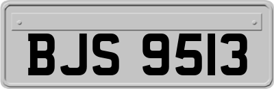 BJS9513
