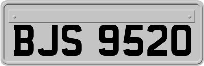 BJS9520