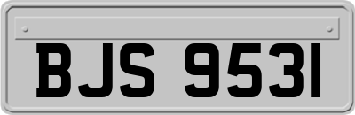 BJS9531