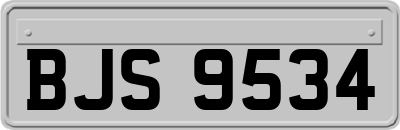BJS9534