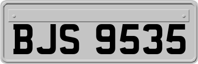 BJS9535