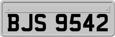BJS9542