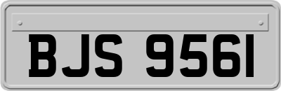 BJS9561
