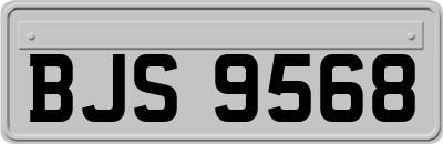 BJS9568