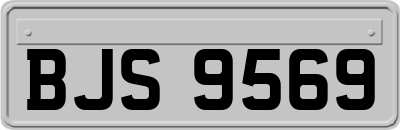 BJS9569