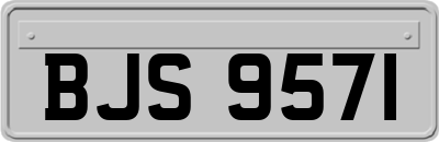 BJS9571