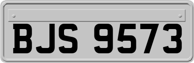 BJS9573