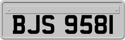 BJS9581