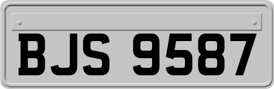 BJS9587