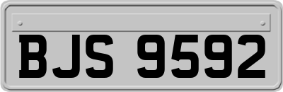 BJS9592