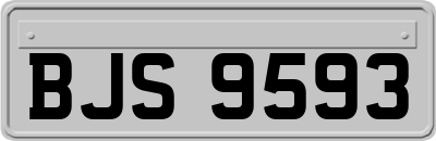 BJS9593