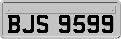 BJS9599