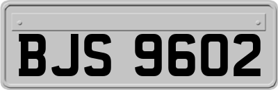 BJS9602
