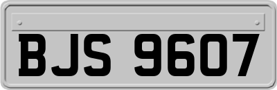BJS9607