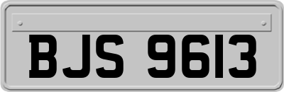 BJS9613