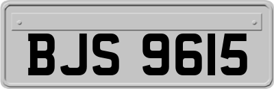 BJS9615