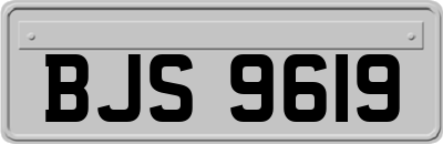 BJS9619