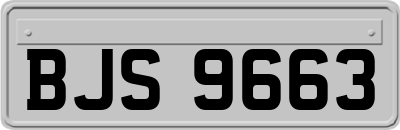 BJS9663