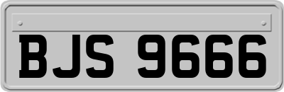 BJS9666
