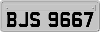 BJS9667