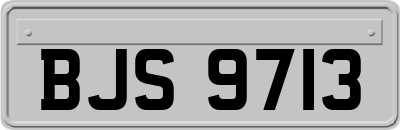 BJS9713