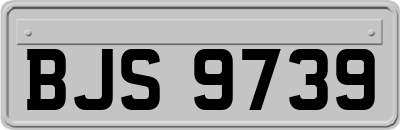 BJS9739