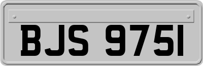 BJS9751