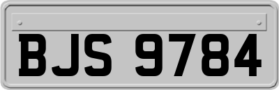 BJS9784
