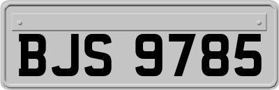 BJS9785